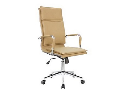 Кресло руководителя эконом Riva Chair 6003-1 S