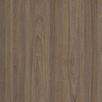 Вяз Благородный